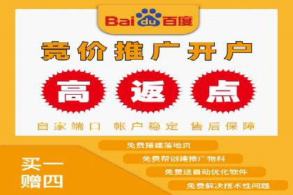 某品牌SEM广告投放的A/B测试与优化